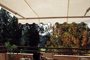 Toldo - Brazo extensible